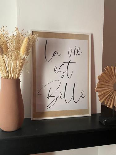 LE MATISSE Appartement de 60m2 au centre de Cambrai terrasse plein sud