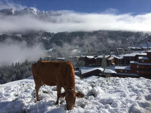 Le MAZOT chalet Lucie