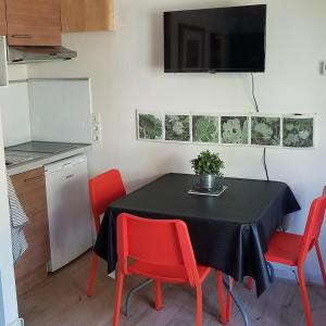 Appartement Le Merle Rose 50 Rue Louis Vignes 31200 Toulouse Midi-Pyrénées