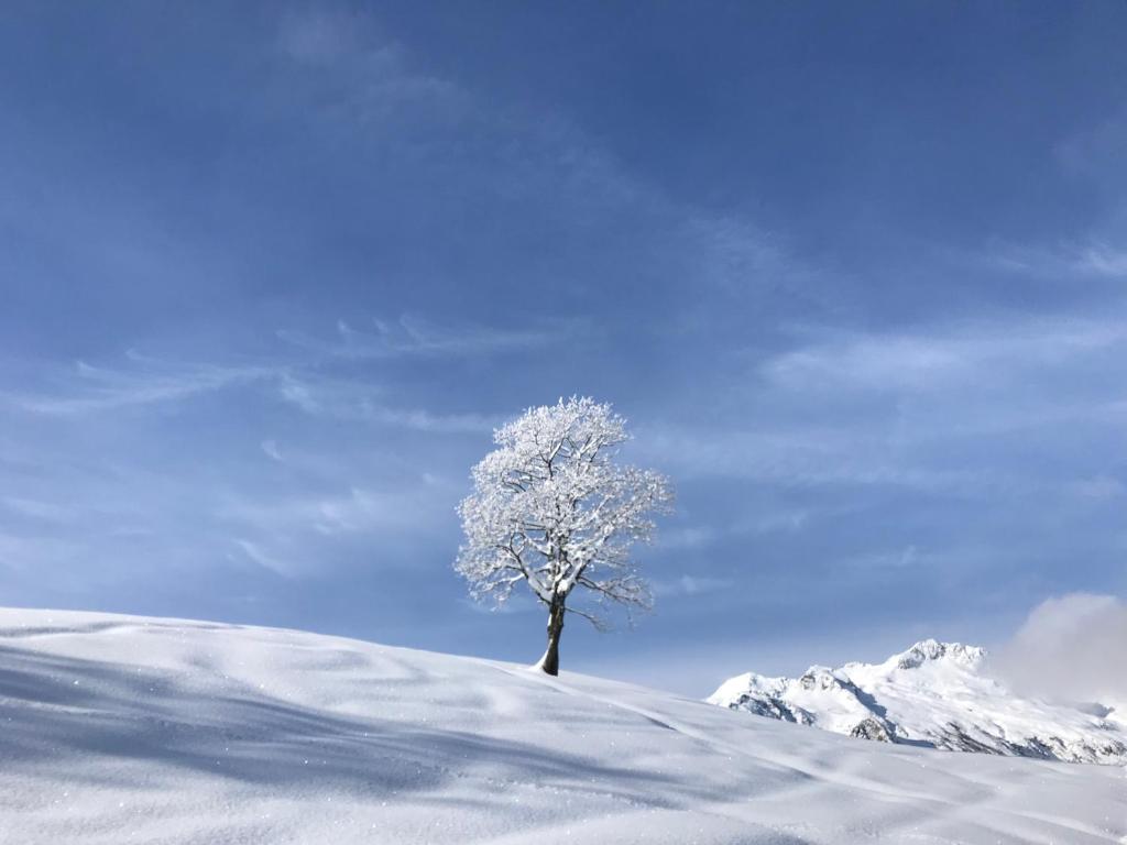 Appartement Le Mottet - ESF & Skis aux pieds Immeuble le Prariond Hameau du Mottet 73260 Valmorel