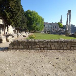 Le Nid de l'Arles authentique