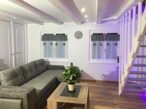 Appartement le Nid des Petites Cigognes Lingolsheim france