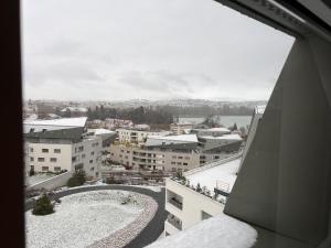 Le nid du lac d'Annecy