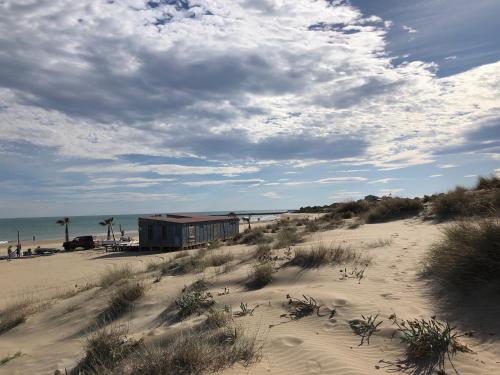 Le P’tit Littoral