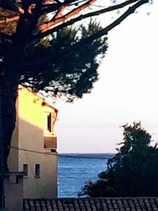 Le P’tit Littoral