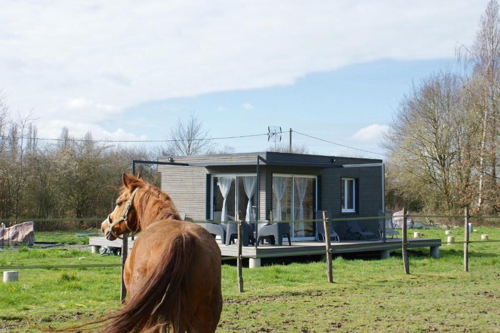 Le p'tit Sancy 2
