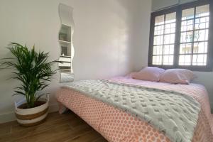 Le Pastel - P2 Comfort - City center