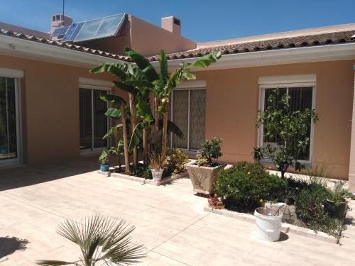 LE PATIO