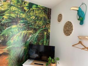 Appartement Le Petit Bali - Studio - WIFI - Parking - Coeur de ville 20 Rue Roger Signor 29120 Pont-lʼAbbé Bretagne