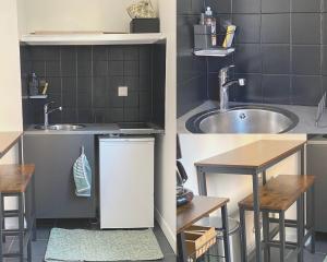 Le petit Canal de Bourgogne : Joli studio au centre Dijonnais