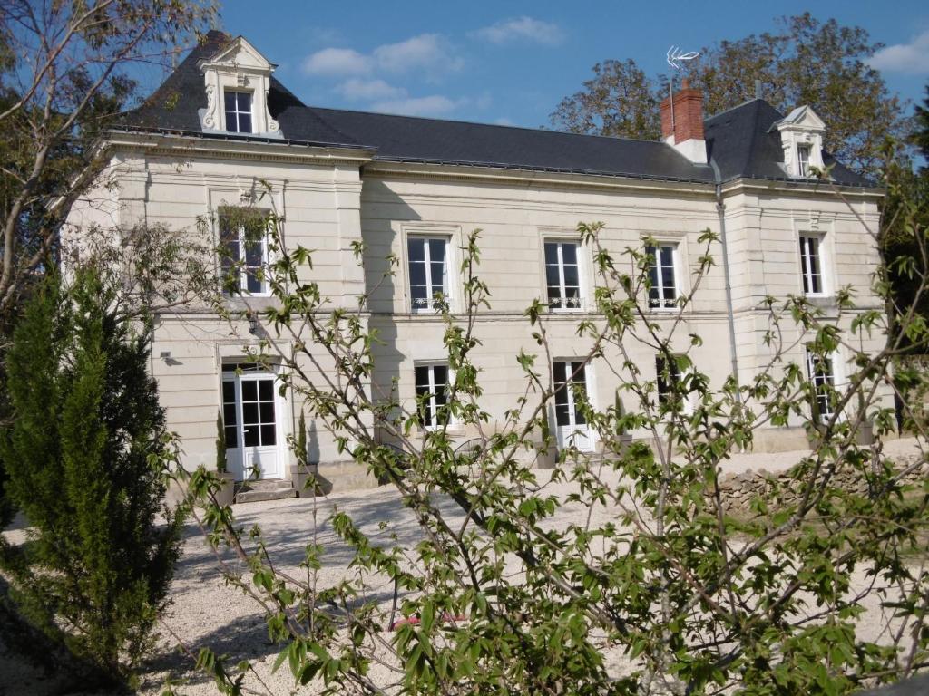 Le petit domaine des Aubuis 42 Rue de l'Ancien Port, 37500 Chinon