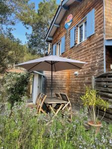 Appartement Le Petit Havre 3 Rte du Baganais - Lotissement Le Drive 33680 Lacanau-Océan Aquitaine
