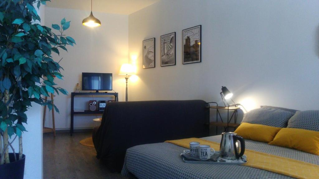 Appartement Le Petit Loft des Thermes 6 bis rue Thiers 17300 Rochefort