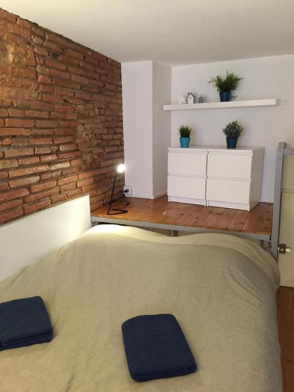 Appartement Le petit Moulin, duplex hypercentre Toulouse 19 rue des Moulins 31000 Toulouse