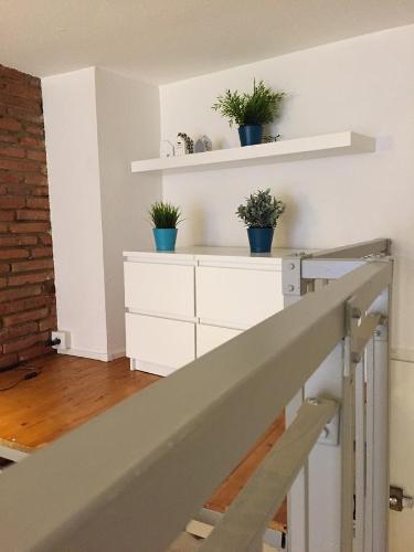 Le petit Moulin, duplex hypercentre Toulouse