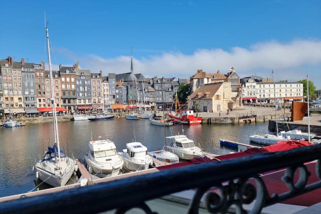 Appartement Le Petit Navire - -  4P - Vue sur le Port d'Honfleur 3 Quai St Etienne 14600 Honfleur