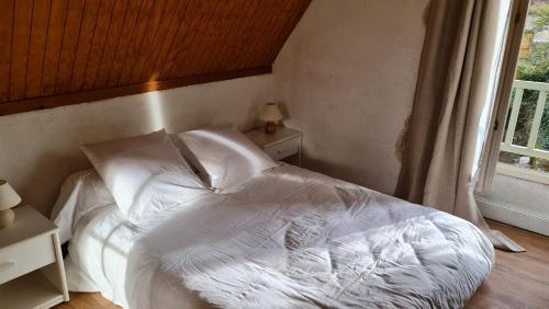 Le petit nid du château