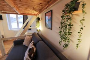 Le Petit Plus - studio confortable avec parking
