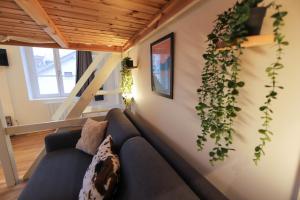 Appartement Le Petit Plus - studio confortable avec parking 11 Rue Louis Chaumontel 74000 Annecy Rhône-Alpes