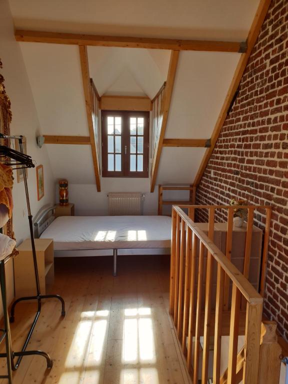 Le petit Studieux 81000 Albi