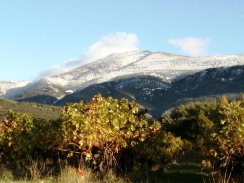 LE PETIT VENTOUX VILLAGE