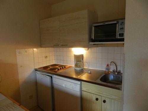 Appartement Le Pleynet, 2 pièces, 6 personnes - FR-1-557A-36 La Ferrière france