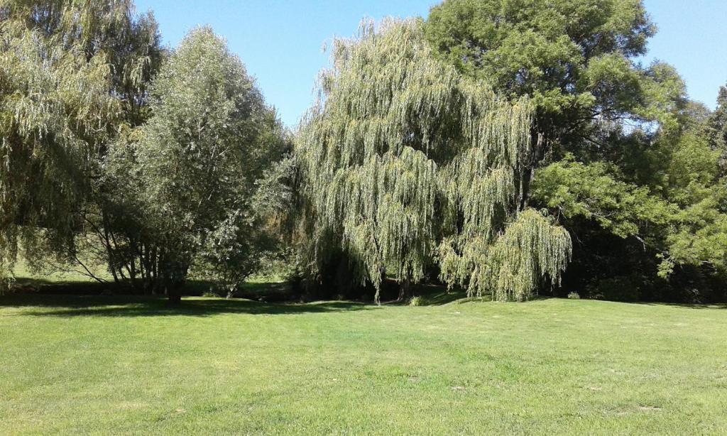 Le Plongeoir de Bon-Secours