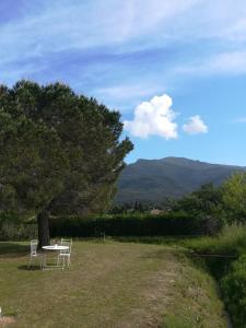 Le Quatorze