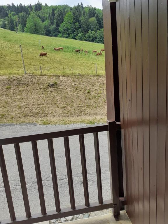 Appartement Le rossane Appt 33 résidence le rossane Aillons margeriaz 1000 73340 Aillon-le-Jeune