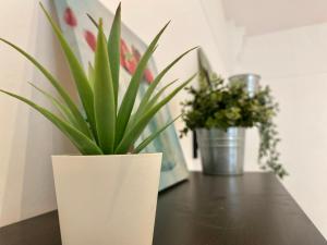 « Le rougemare » - superbe appartement 6 personnes