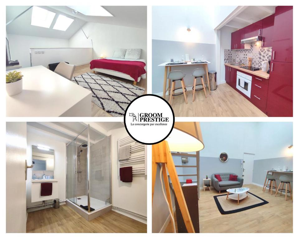 Appartement Le Rubis Briochin - Style et goût juste pour vous ! 58 Rue de Gouédic 22000 Saint-Brieuc