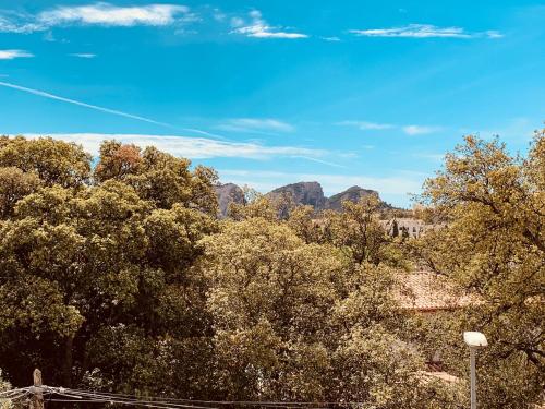 Le Saint Loup (terrasse et parking)