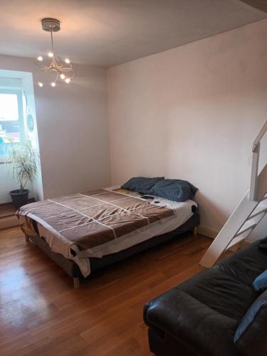 Le Schauenberg - Bel appartement proche du centre ville
