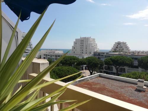 Le Sémaphore - studio climatisé, grande terrasse vue mer - parking, wifi