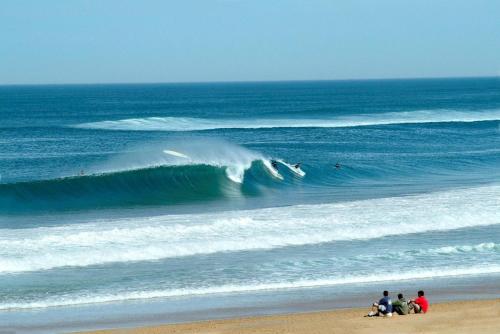 Le Shaka - Seignosse Plage