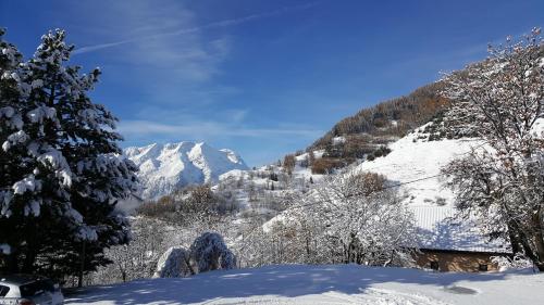 Le Skidoux