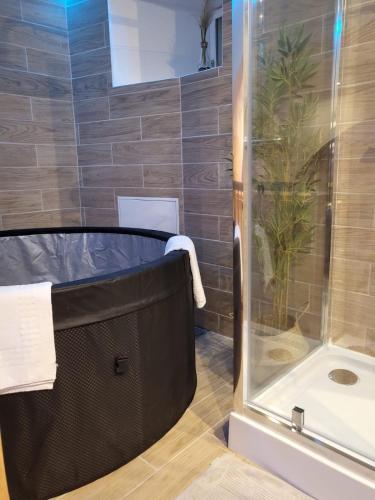 Le Spa de la Cathédrale - Jacuzzi - Sauna - Champagne - Wifi