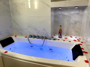 ☆Le Spa Luxe☆ avec cinema/terrasse en centre ville