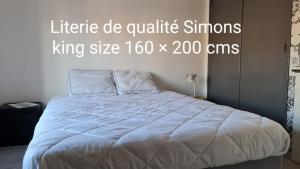 Appartement Le Studio de la République 36 Rue de la République 34300 Agde Languedoc-Roussillon