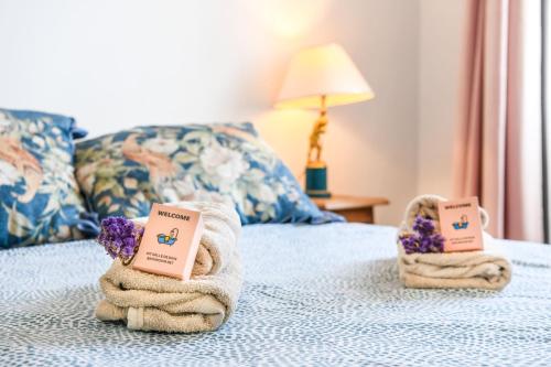 Le Sury - Bel appartement avec 2 chambres
