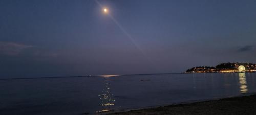 Le Tamaya plage Charmant T2 en rez de jardin A 2 pas d une belle plage de toutes commodités et centre ville port