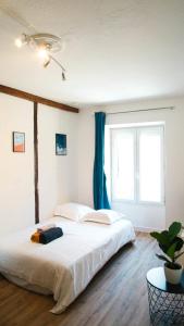 Le Tourangeau - Grand studio cosy en hypercentre