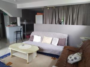 Appartement Le Trèfle d'Or 13 A rue de l'église 88400 Gérardmer Lorraine