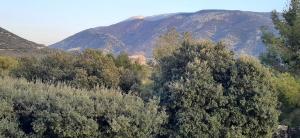 Le Ventoux