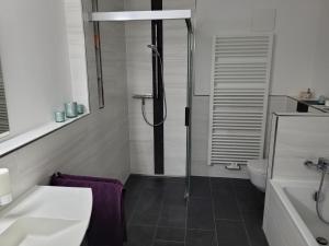 Leipziger Neuseenland Apartment