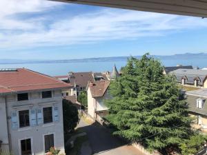 Leman Lake panoramic view - Evian-les-Bains city center