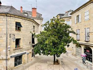 Les 4 saisons - Centre historique Brive