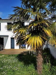 Appartement Les acacias 300 m de la plage rez de jardin 1 bis Allée des Acacias 17110 Saint-Georges-de-Didonne -1