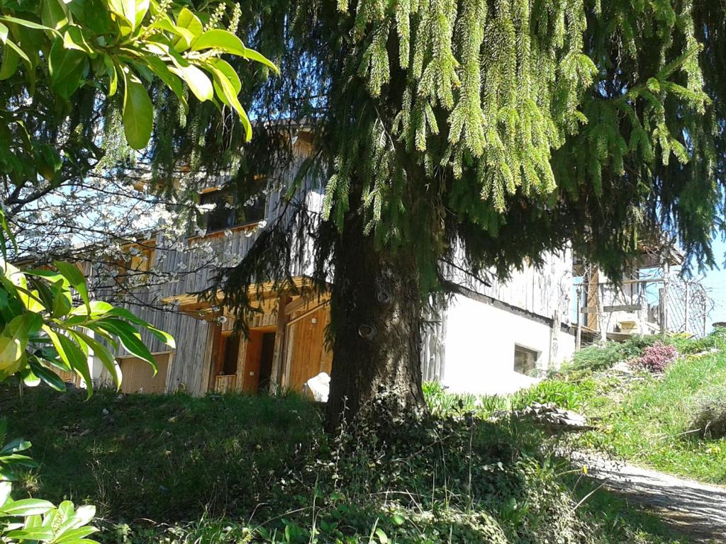 Appartement LES ACACIAS CHEMIN RURAL DE MOYE A SURGET, 891 74150 Moye