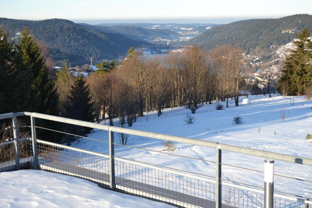 Les Angéliques 182 Chemin des Gouttridos, 88400 Gérardmer